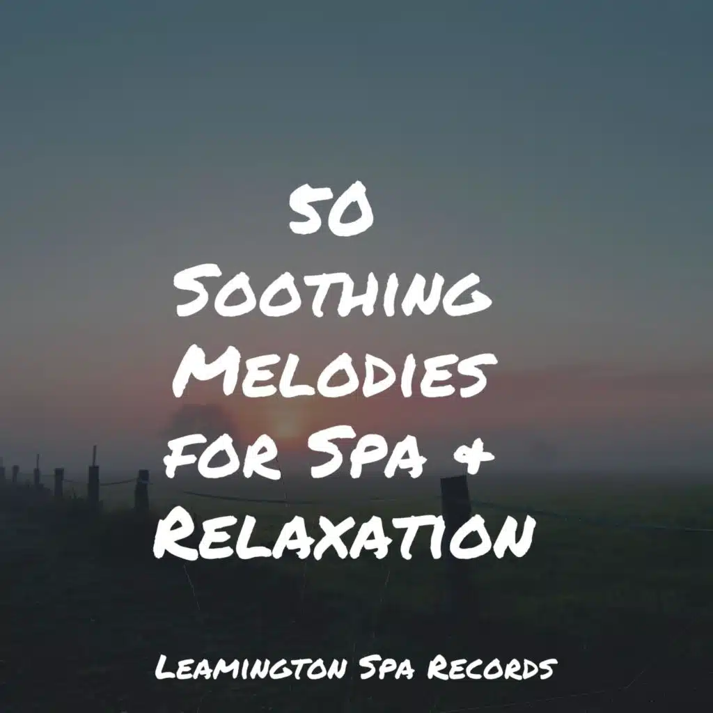 50 Soothing Melodies for Spa & Relaxation