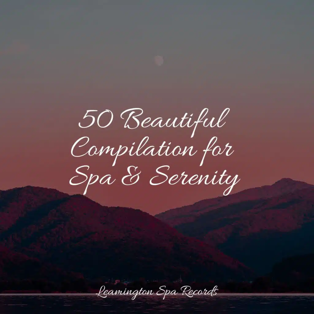 50 Beautiful Compilation for Spa & Serenity