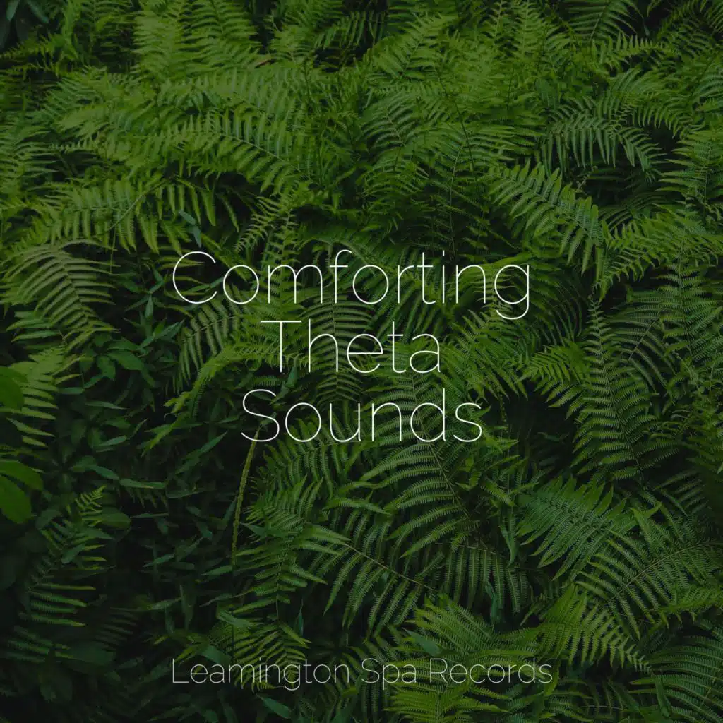 Comforting Theta Sounds
