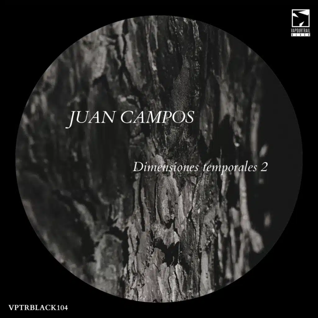 Dimensiones Temporales 2