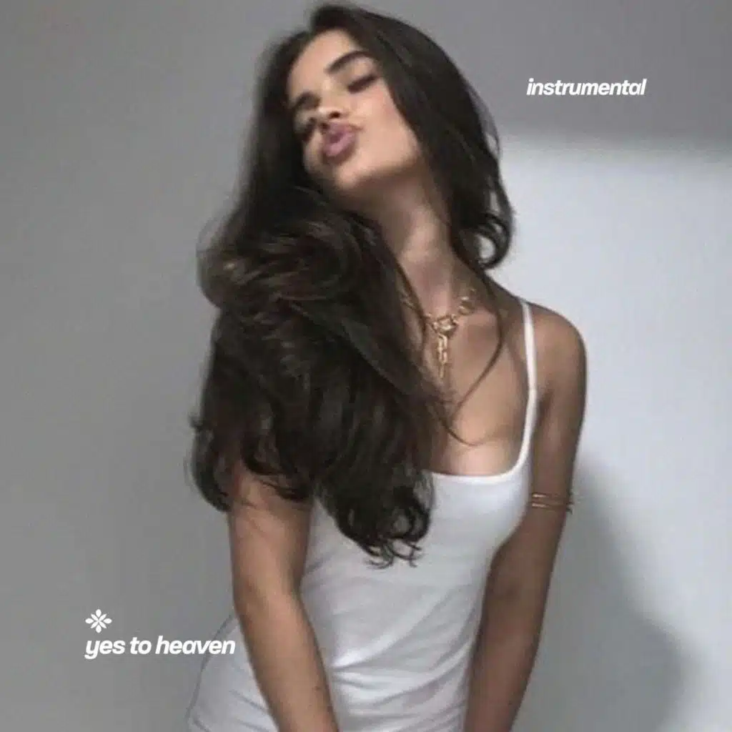 yes to heaven - instrumental