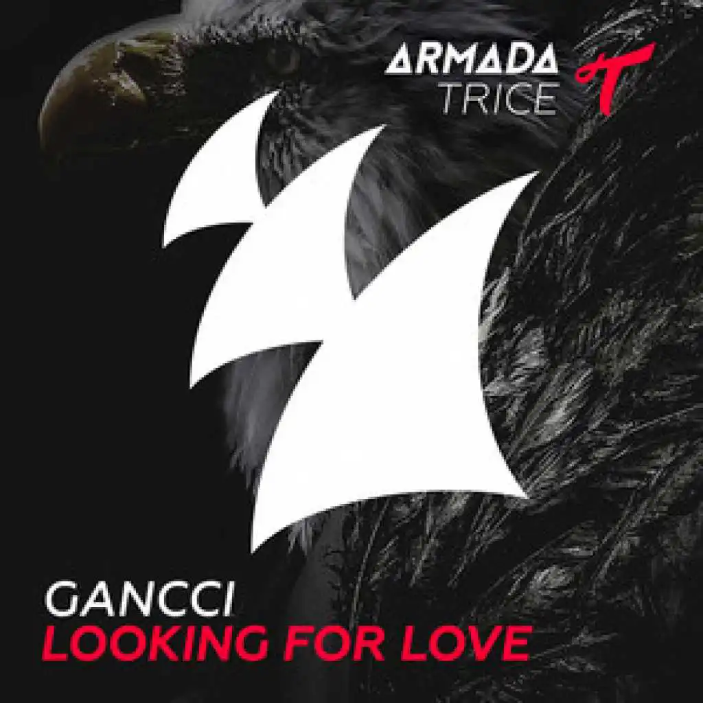 Looking For Love (Radio Edit)