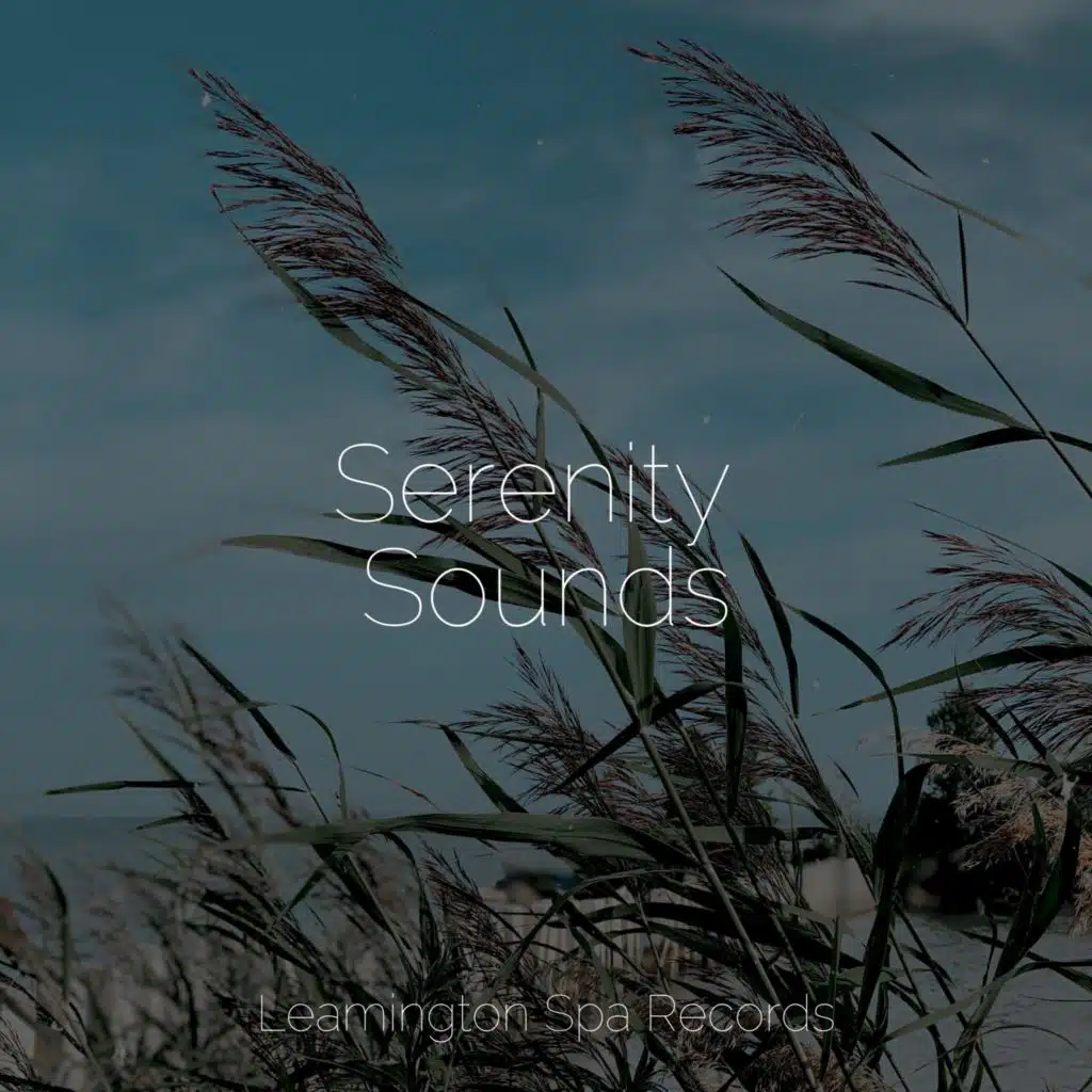 Serenity Sounds