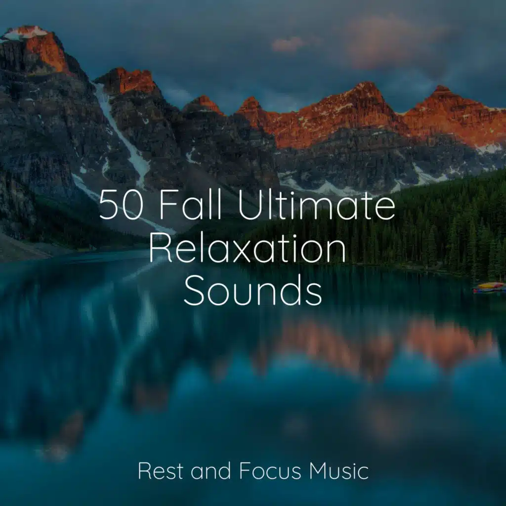 Shakuhachi Sakano & Binaural Beats Brainwave Entrainment