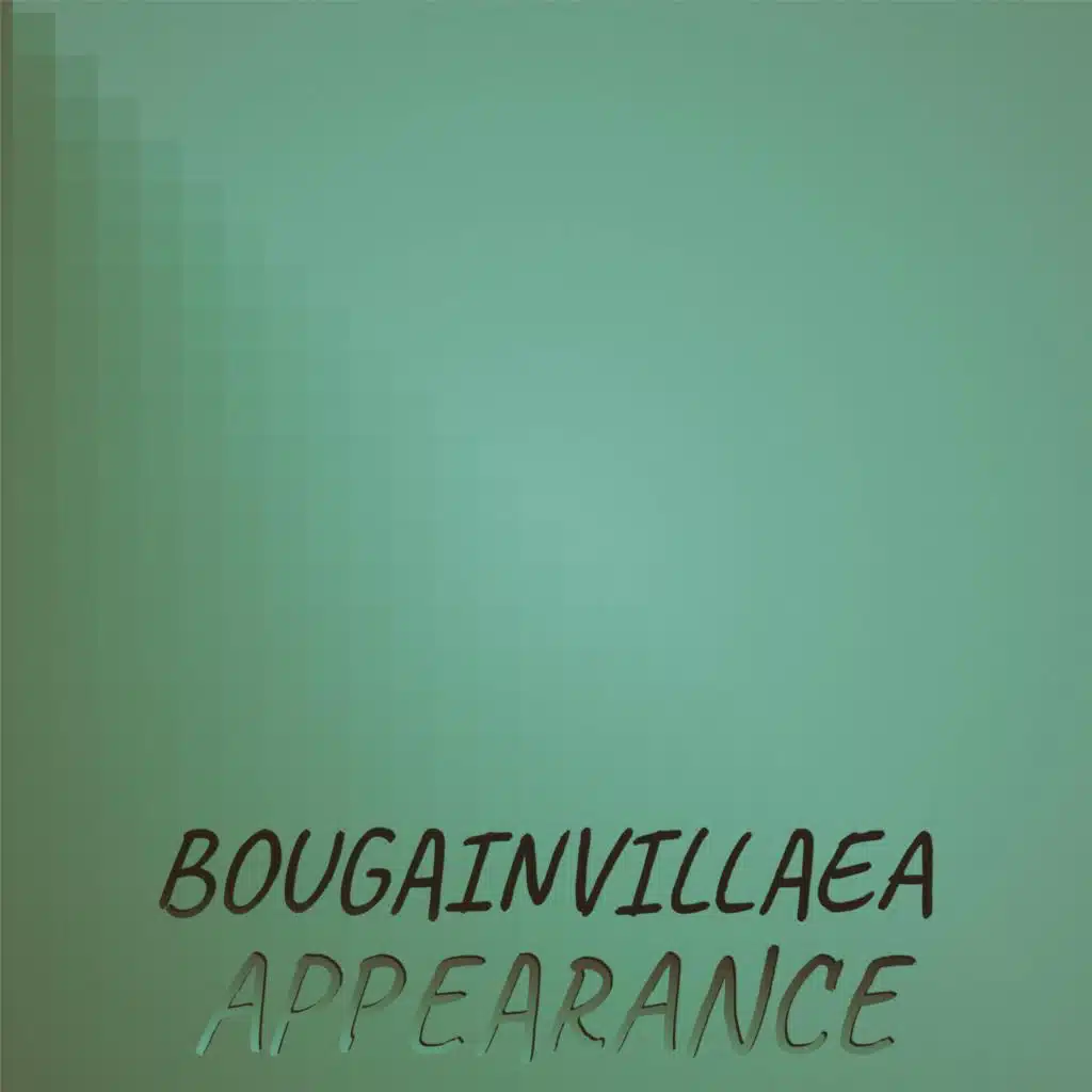 Bougainvillaea Appearance
