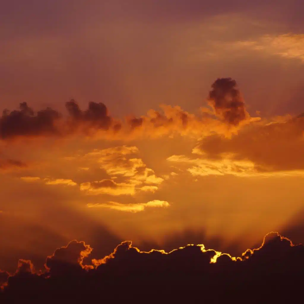 自然之音│解压放松│看书睡前