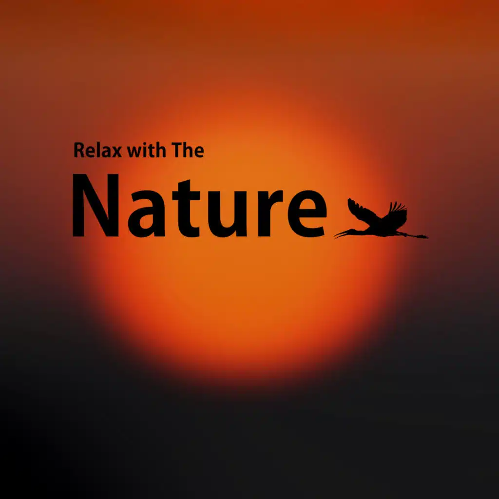 Relax with The Nature: Music with Natural Noises to Stop Anxiety & Depression, Sleeping Problems, Lack of Concentration