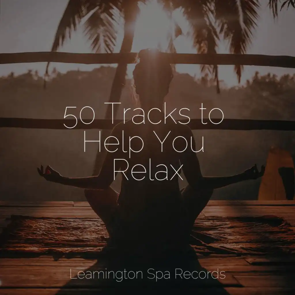 50 Tracks to Help You Relax