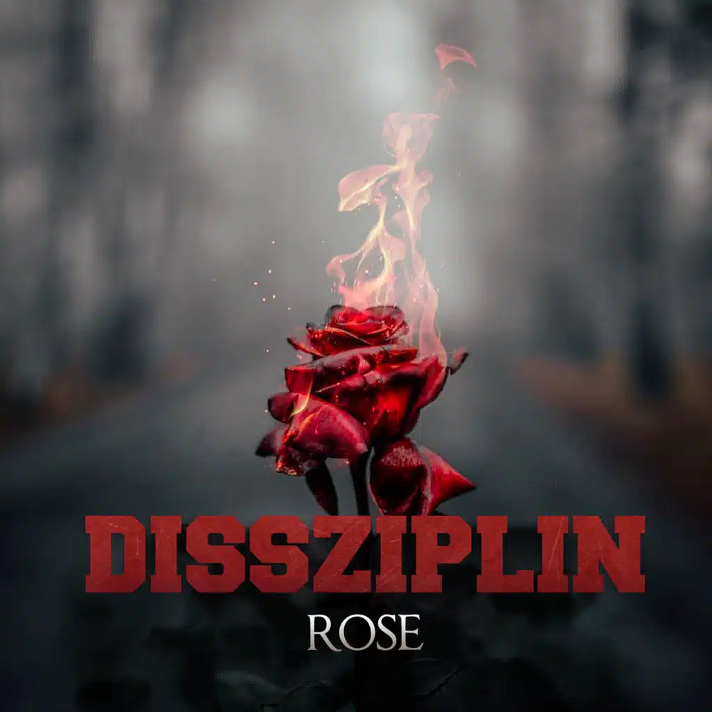 Dissziplin
