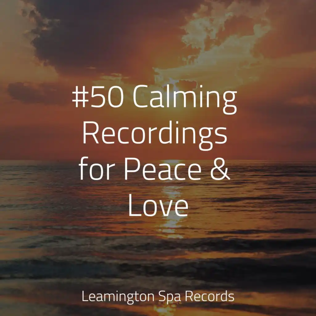 #50 Calming Recordings for Peace & Love