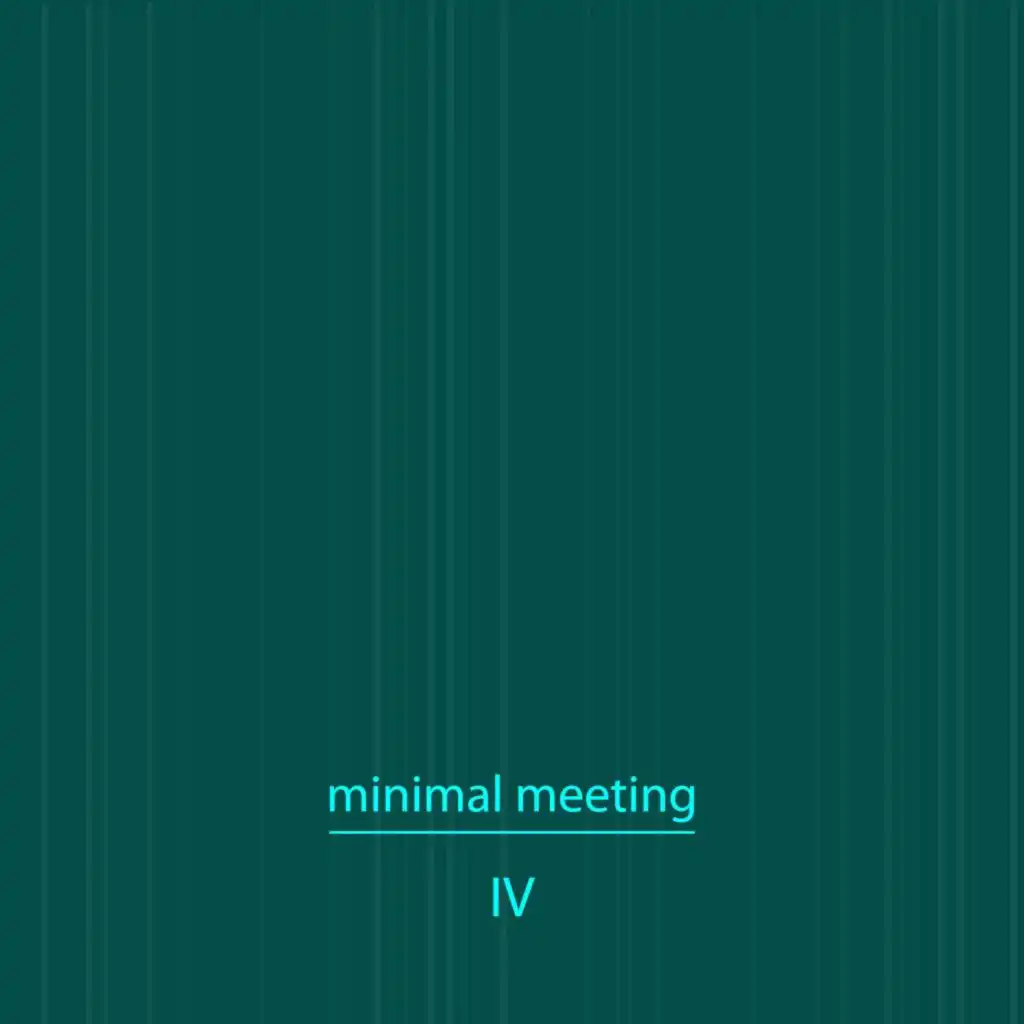 Minimal Meeting, Vol. 4