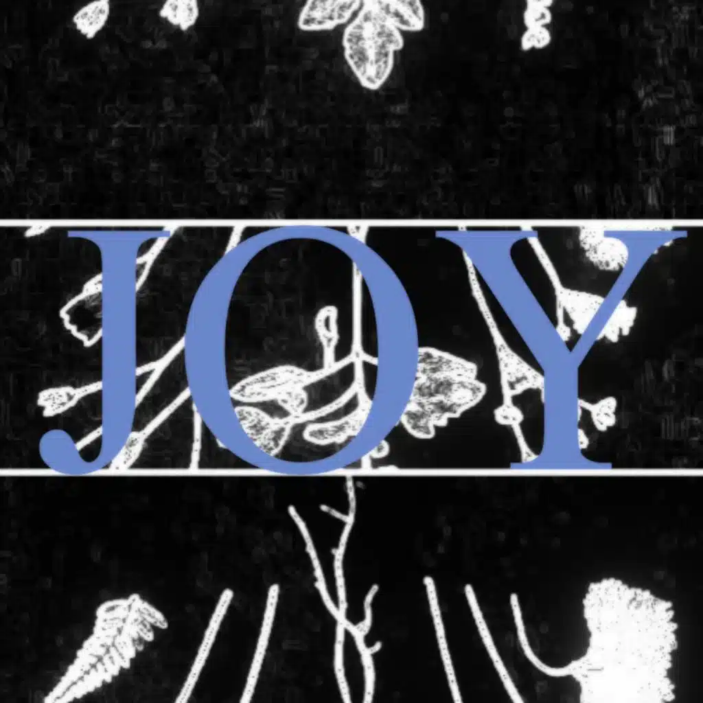JOY EP
