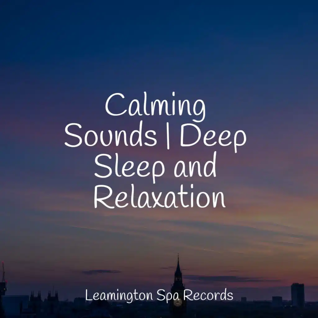 Calming Sounds | Deep Sleep and Relaxation