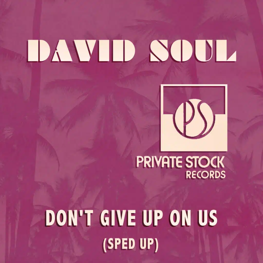 Don't Give Up On Us (Sped Up)