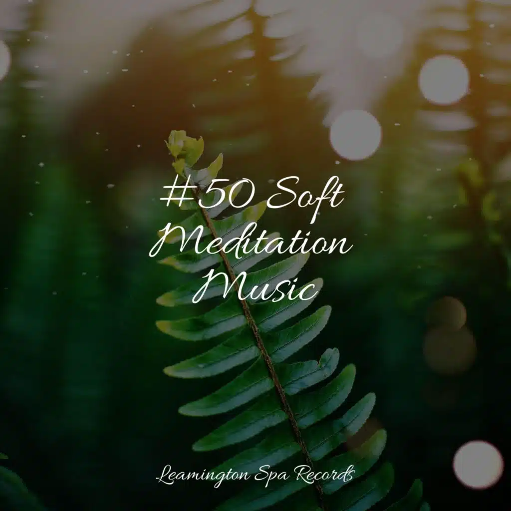 #50 Soft Meditation Music