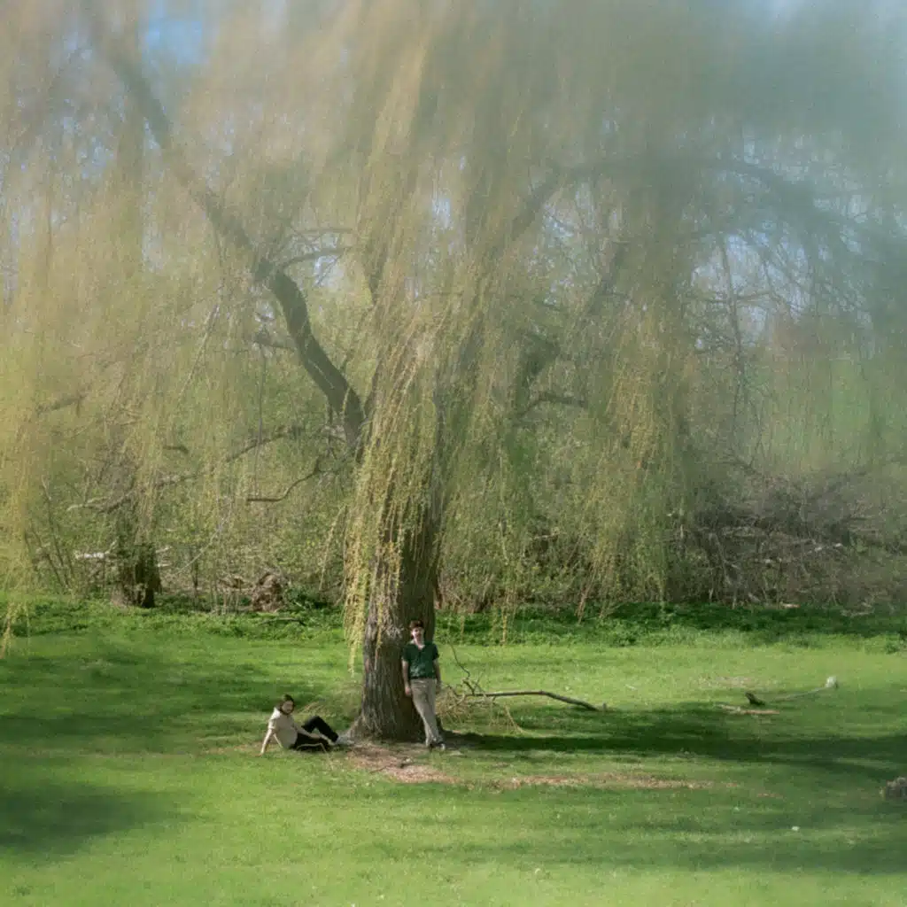 Disparaître / Terre