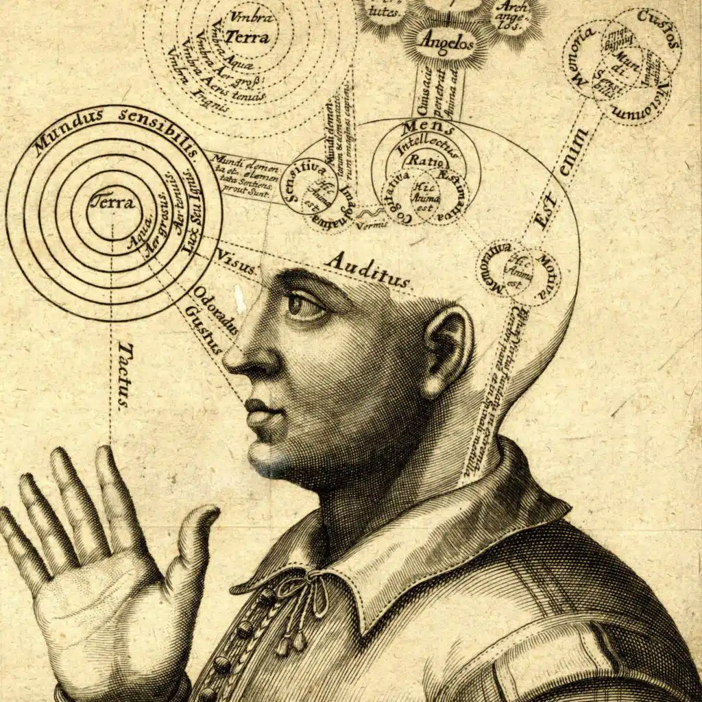 THE BROOKLYN INSTITUTE FOR SOCIAL RESEARCH