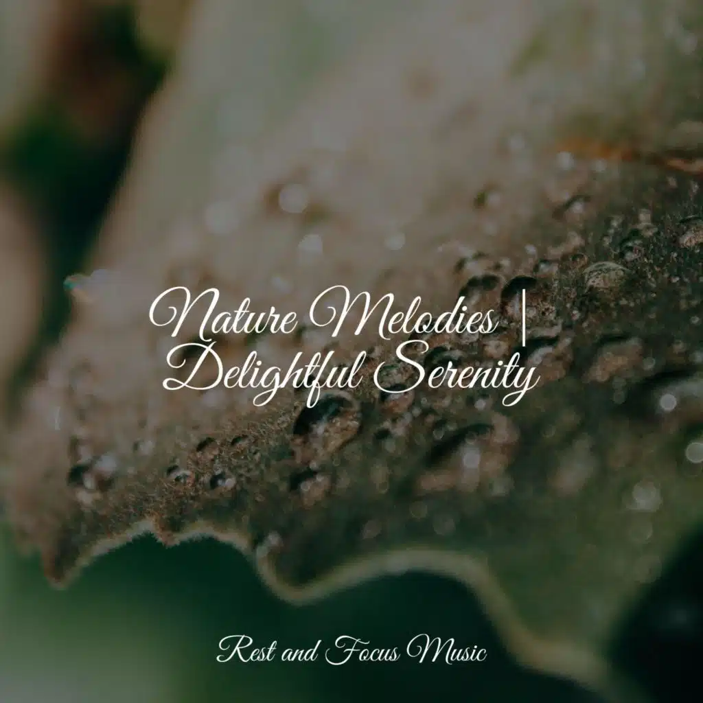 Nature Melodies | Delightful Serenity