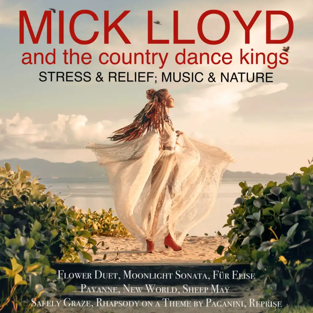 The Country Dance Kings feat. Mick Lloyd