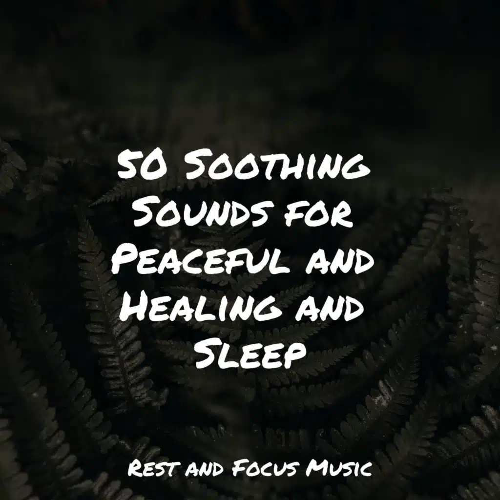 50 Soothing Sounds for Peaceful and Healing and Sleep