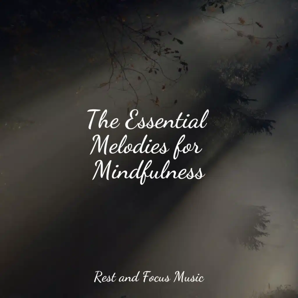 The Essential Melodies for Mindfulness
