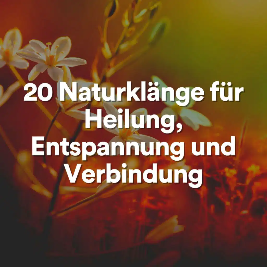 20 Naturklänge für Heilung, Entspannung und Verbindung