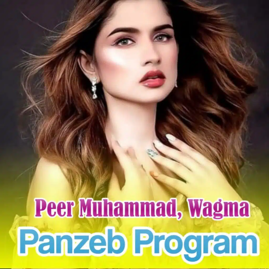 Panzeb Program