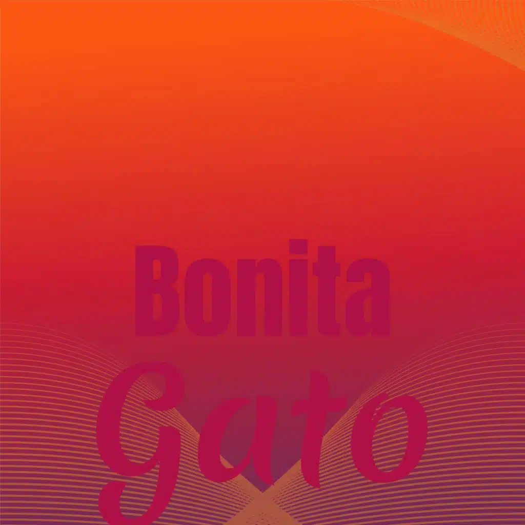 Bonita Gato