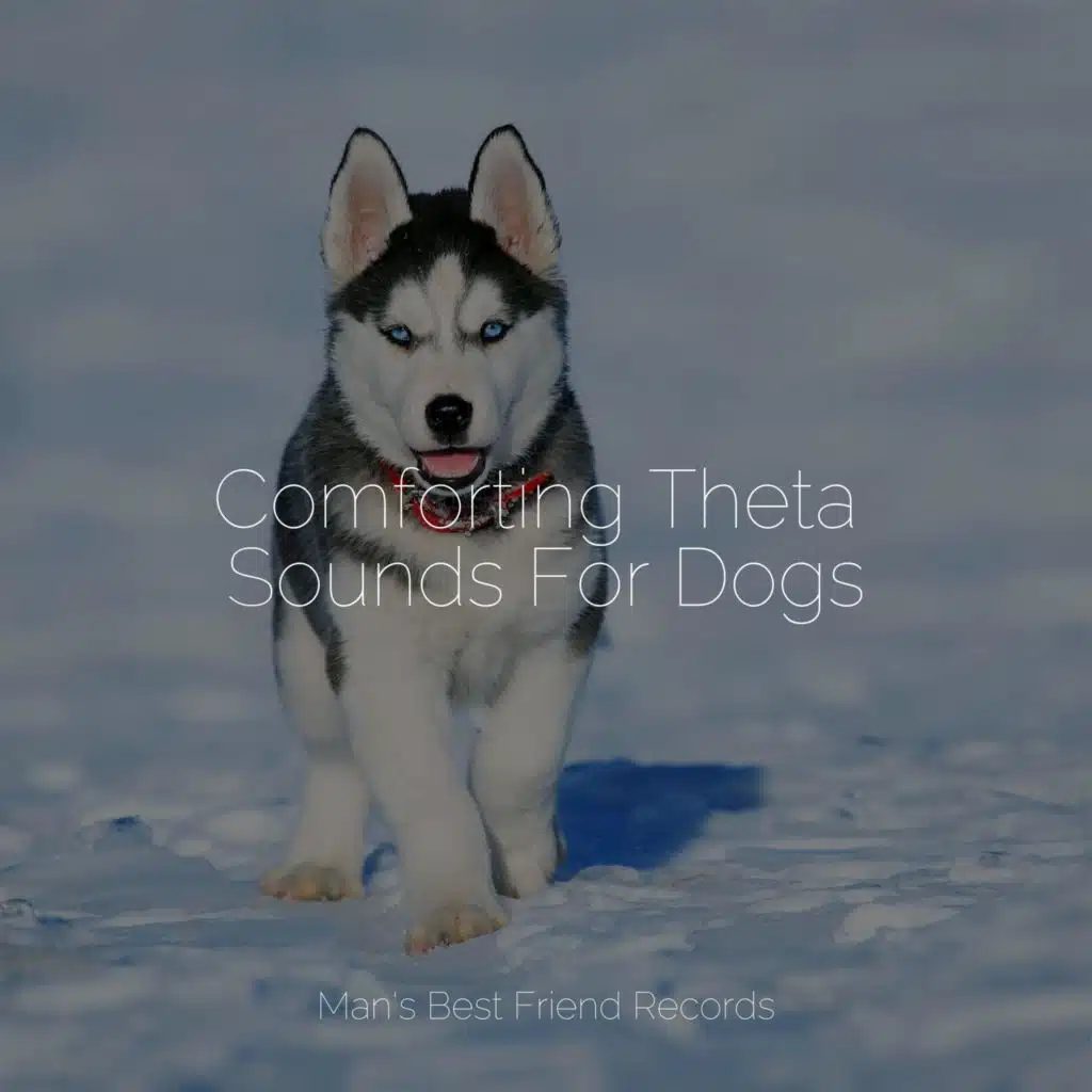 Comforting Theta Sounds For Dogs