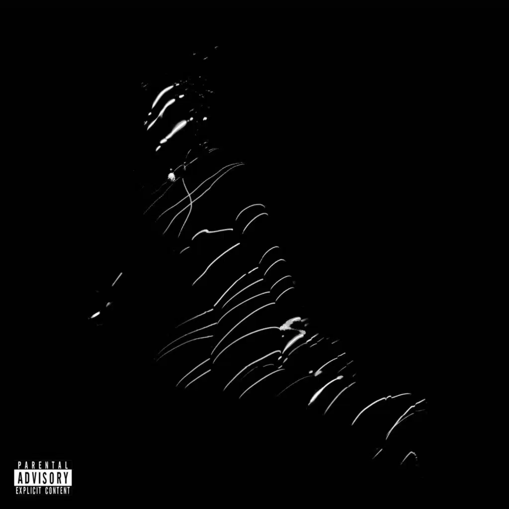 Late Night Reflections