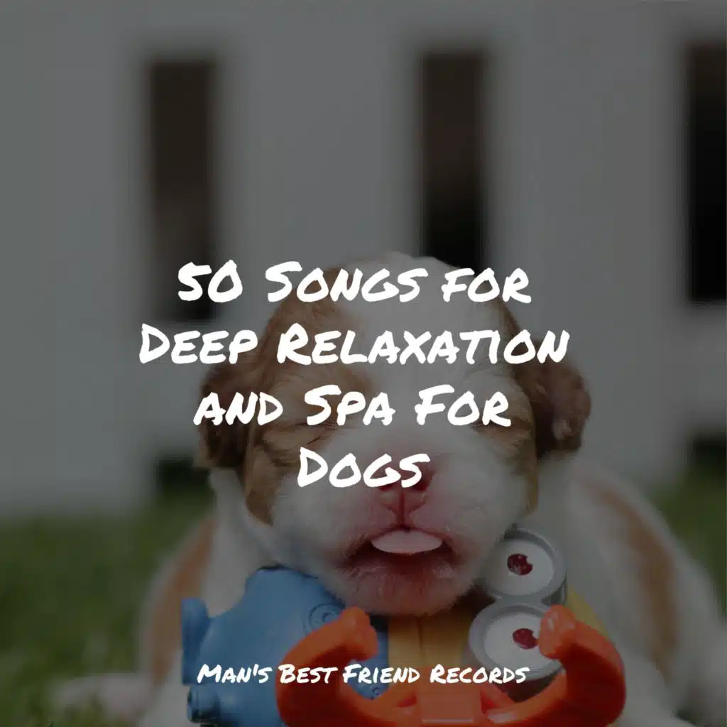 50 Songs for Deep Relaxation and Spa For Dogs