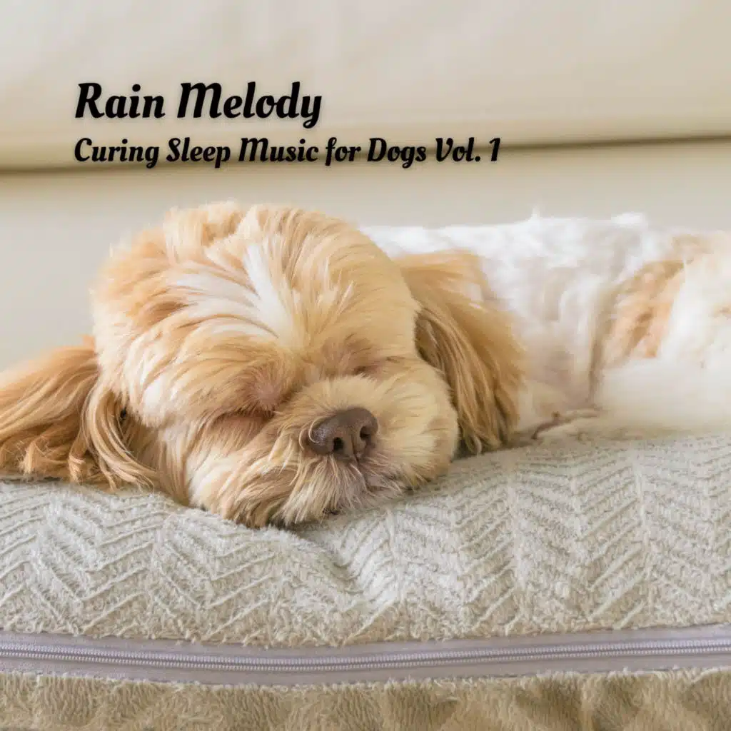 Rain Melody: Curing Sleep Music for Dogs Vol. 1