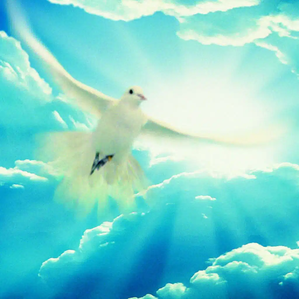 Tapiola Chamber Choir & Friends of Kuula