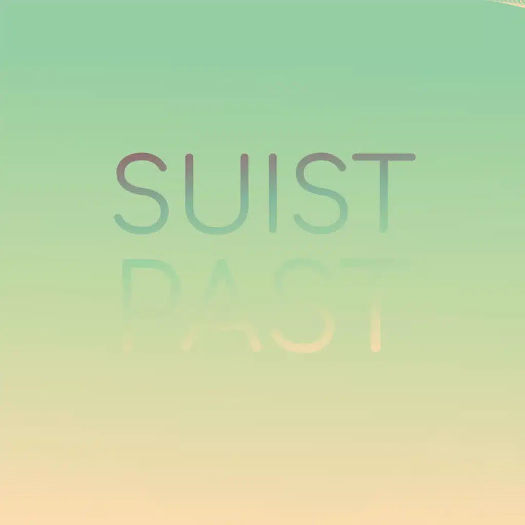 Suist Past