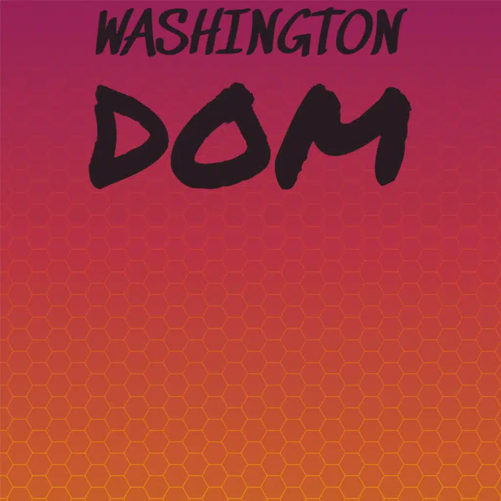 Washington Dom