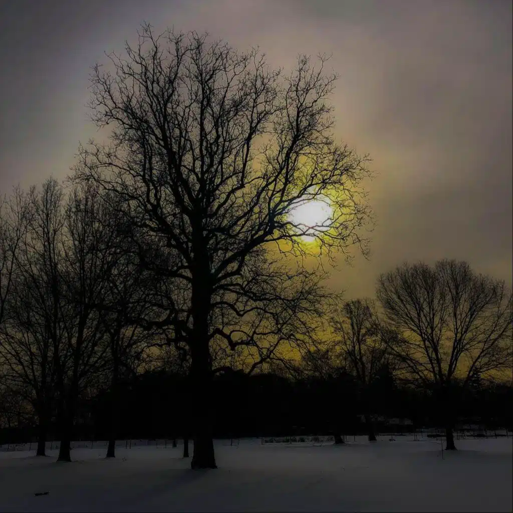 Nordic Drifts (Extended)