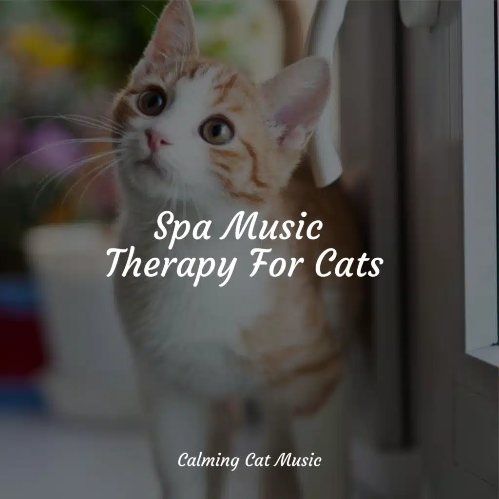 Spa Music Therapy For Cats