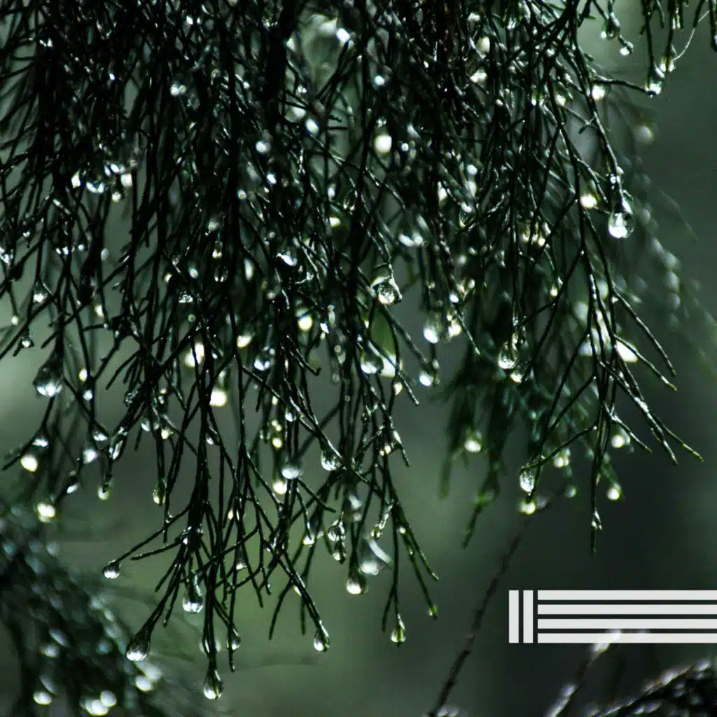 Pluie Pour Un Meilleur Sommeil