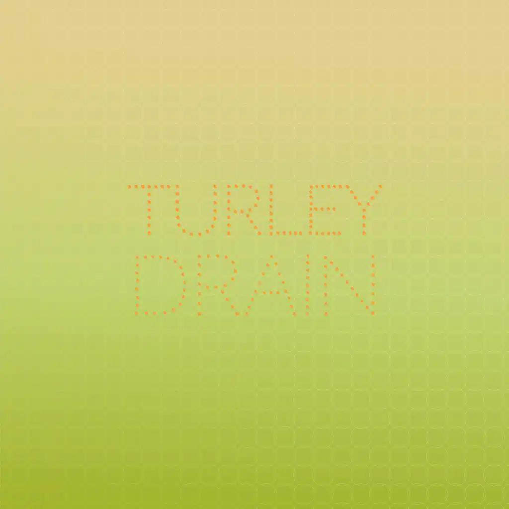 Turley Drain
