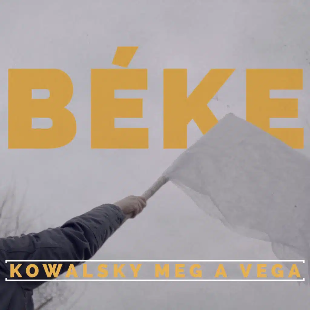 Kowalsky Meg A Vega