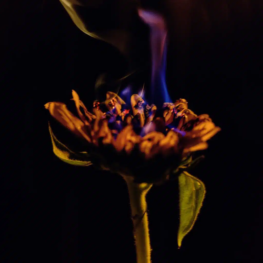 Alice Caymmi & Michael Sullivan