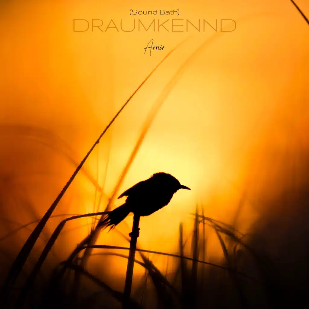 Draumkennd  (Sound Bath)