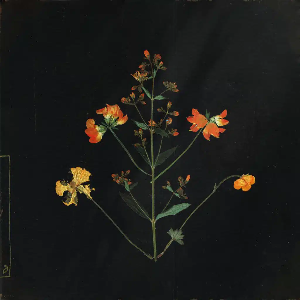 one last thing you never said