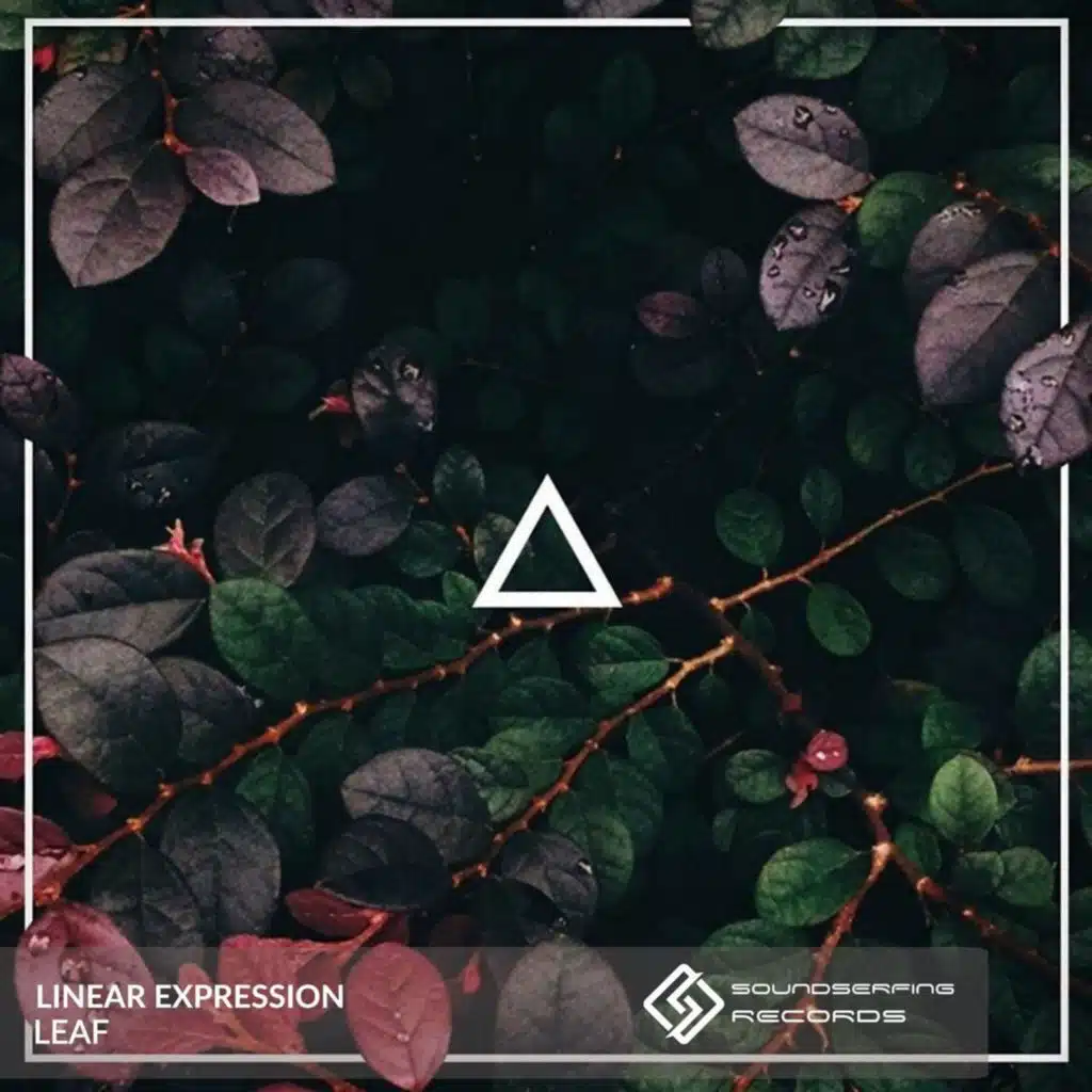 Linear Expression