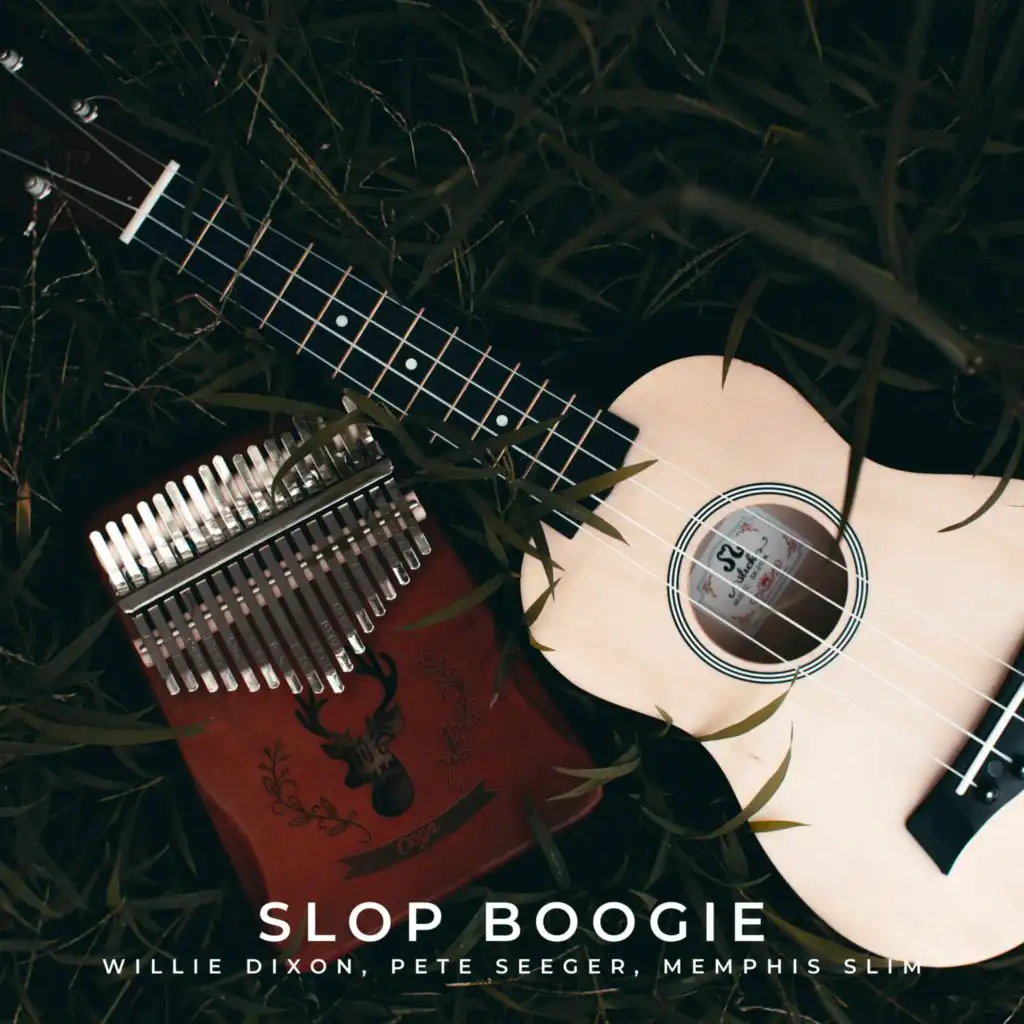 Slop Boogie (feat. Pete Seeger)