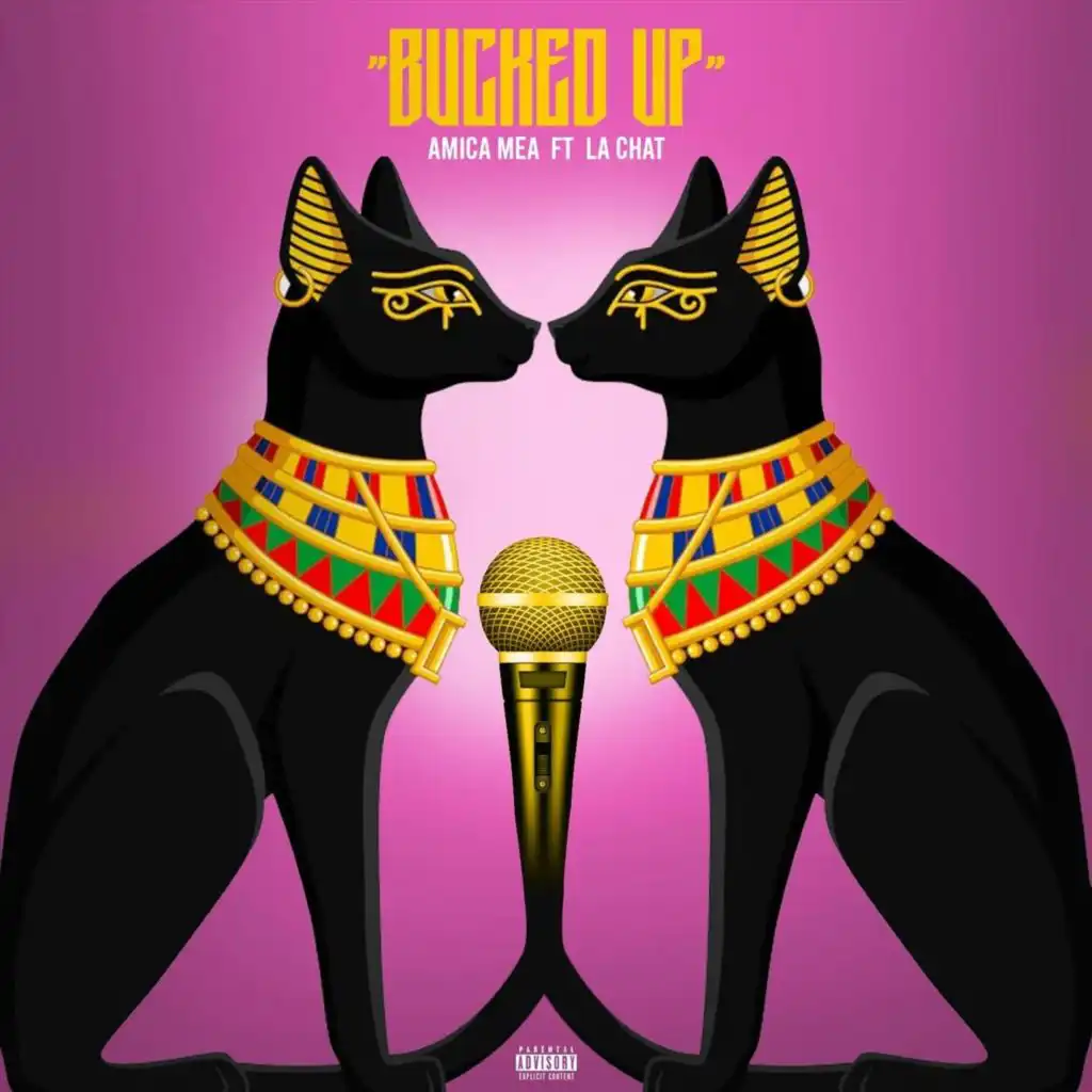 Bucked Up (feat. La Chat)