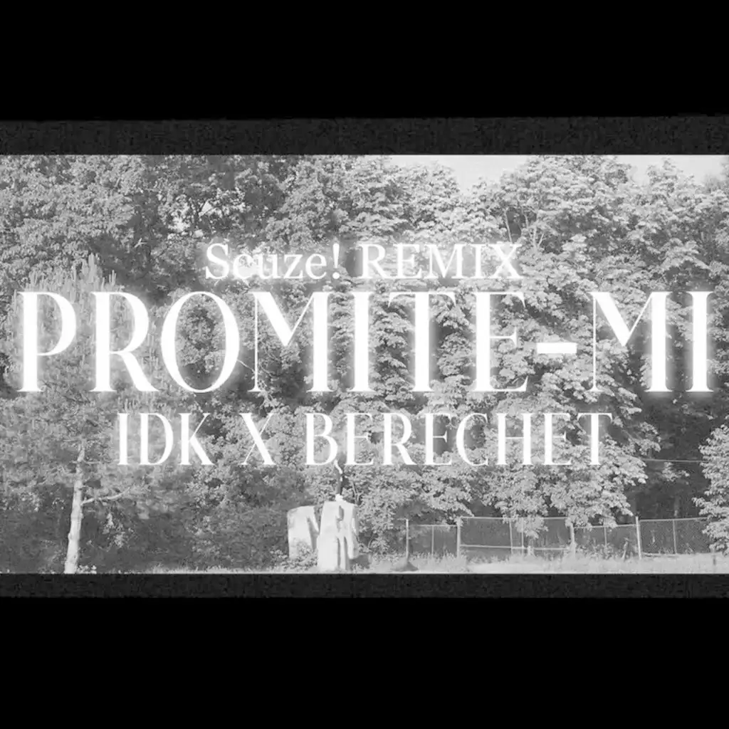 Promite-mi (Remix)