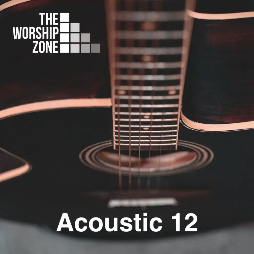 Acoustic 12