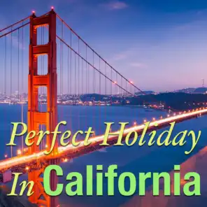 Perfect For Holiday In California