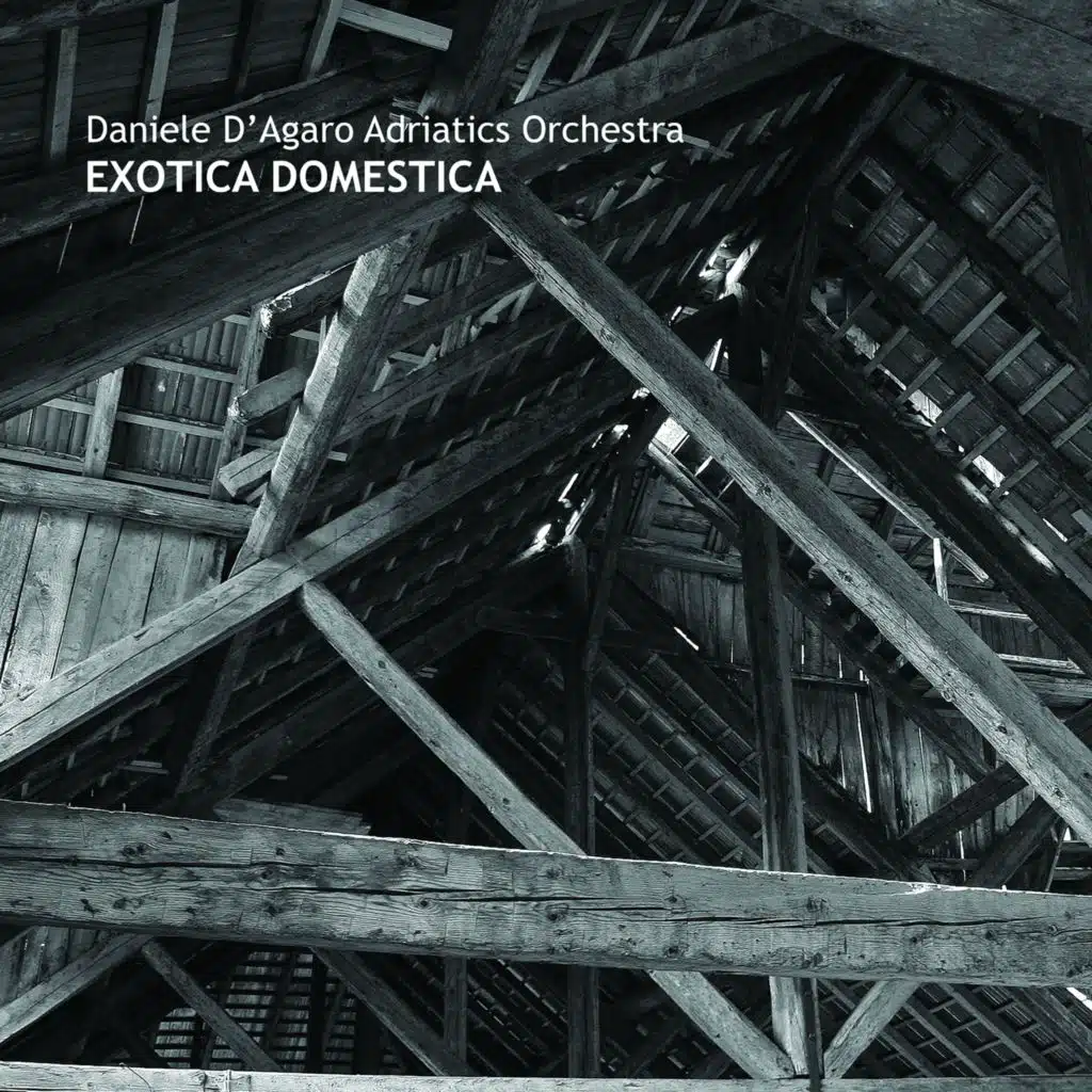 Daniele D'Agaro & Adriatics Orchestra